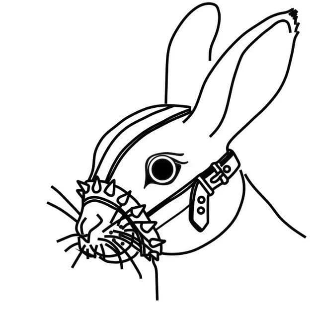 Отель «Годжи»