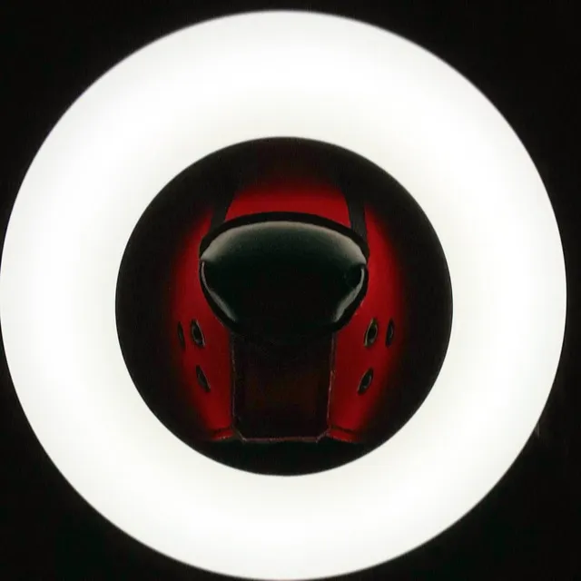 DOGS & BAD BOYS BDSM 18+